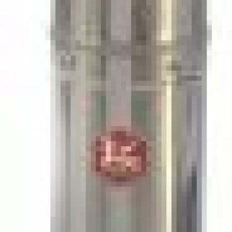 Skvazhinnyy-nasos-DWS-4-100-2_thm